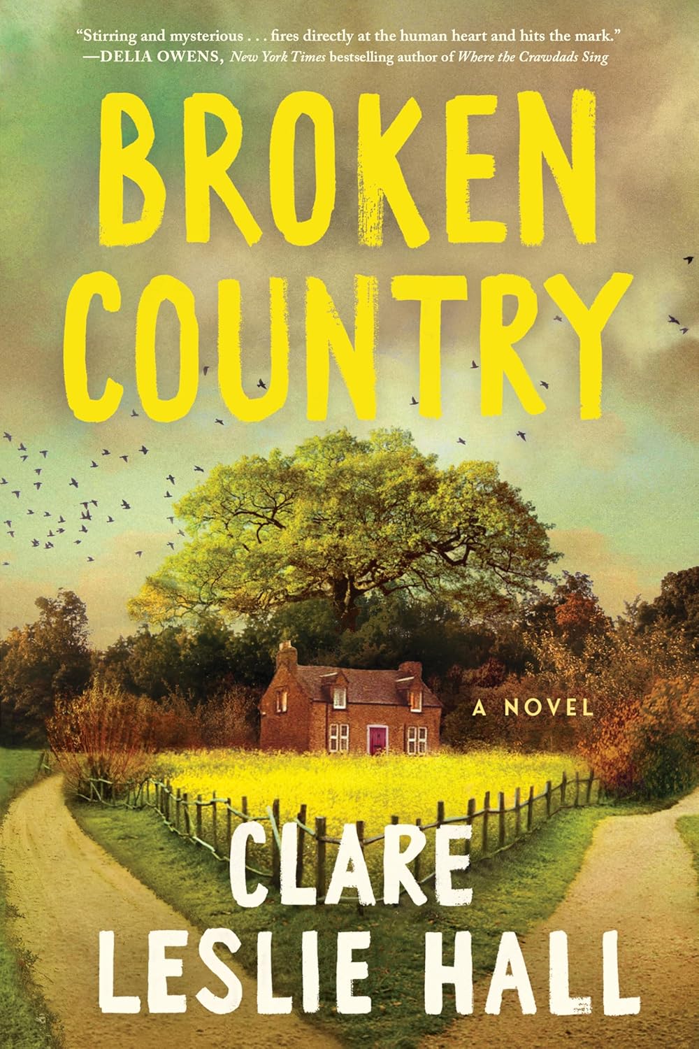 Book cover of "Broken Country" By Clare Leslie Hall