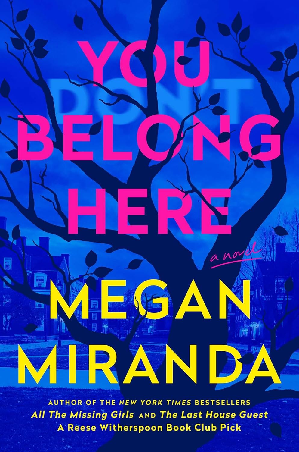 You Belong Here: A Novel