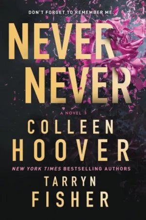 Never Never: A Twisty, Angsty Romance