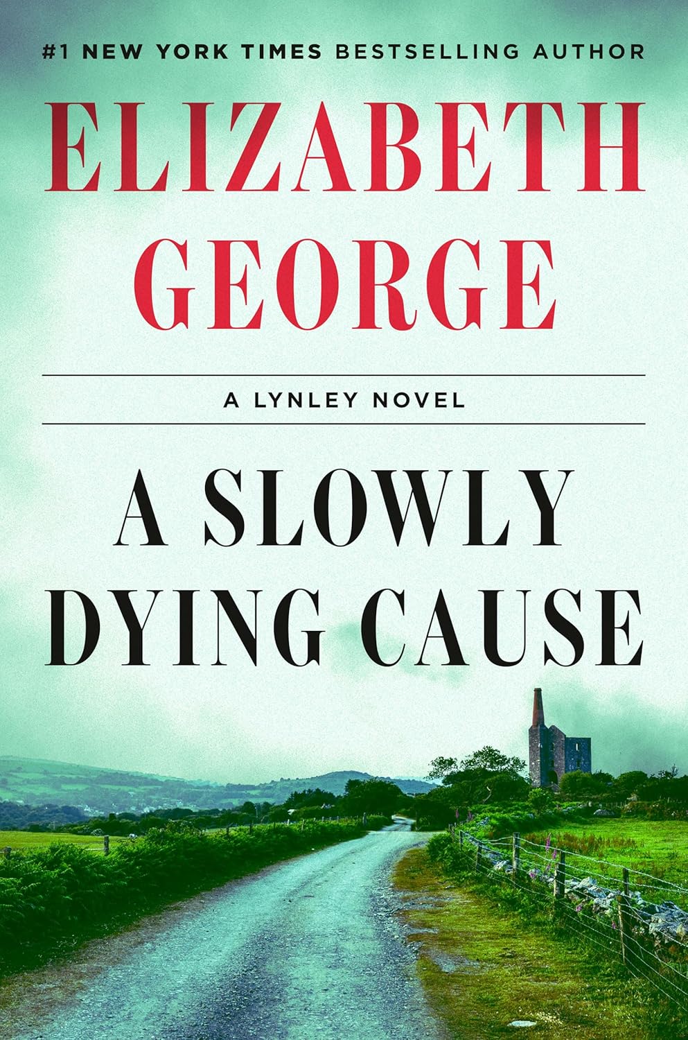 Book cover of 'A Slowly Dying Cause' by Elizabeth George with a scenic road and building in the background.