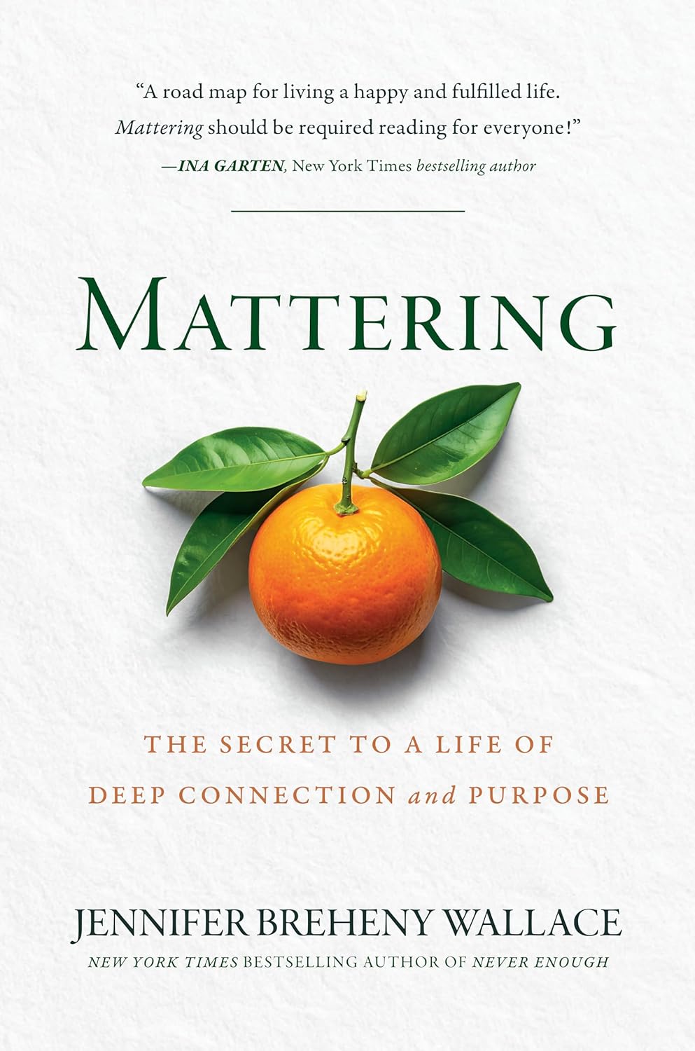 Book cover of 'Mattering' with an orange and leaves on a white background