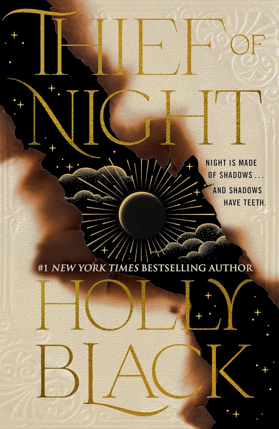 Book cover of 'Thief of Night' by Holly Black with a silhouette and celestial design.