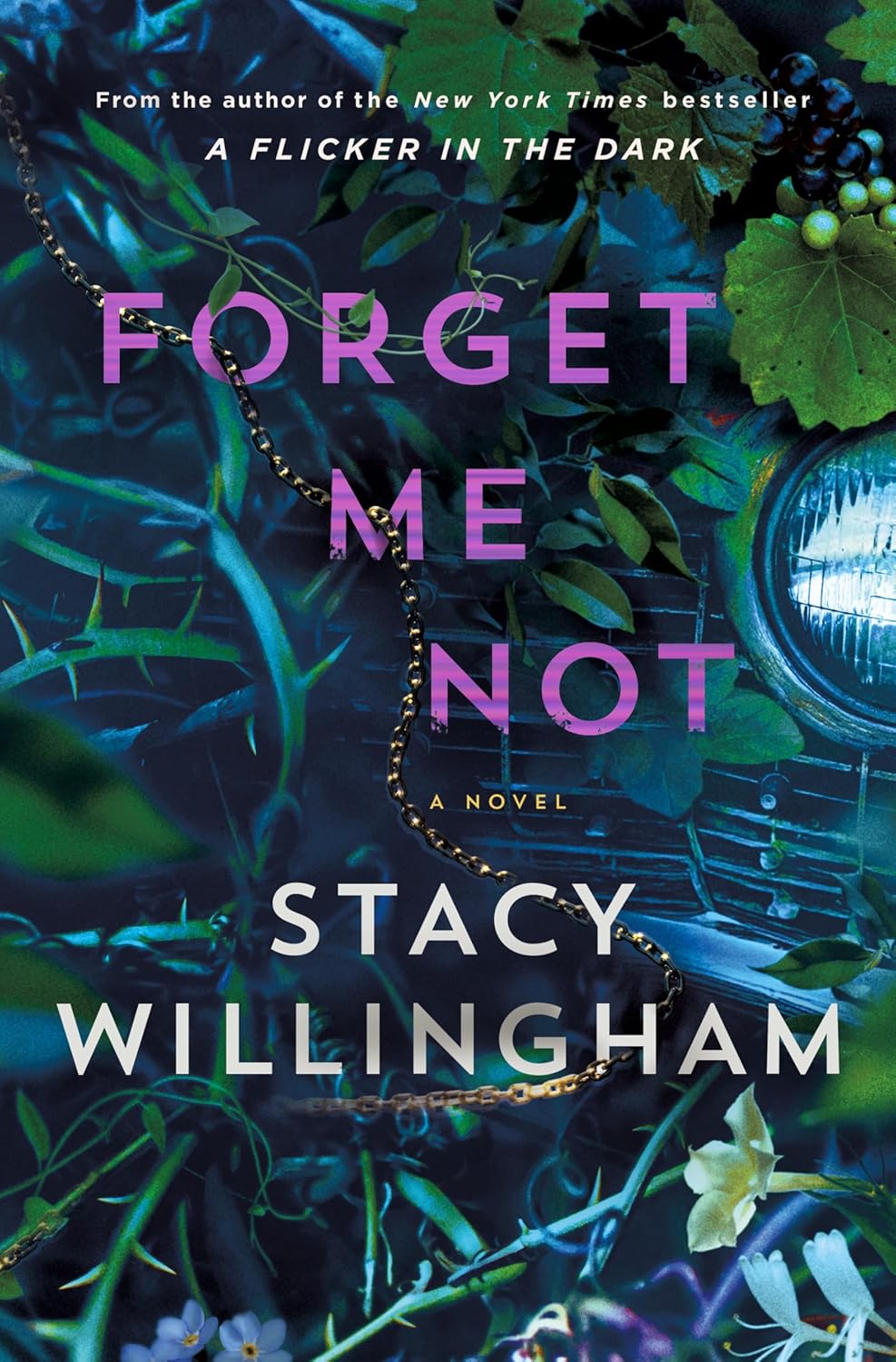 Forget Me Not: A Novel
