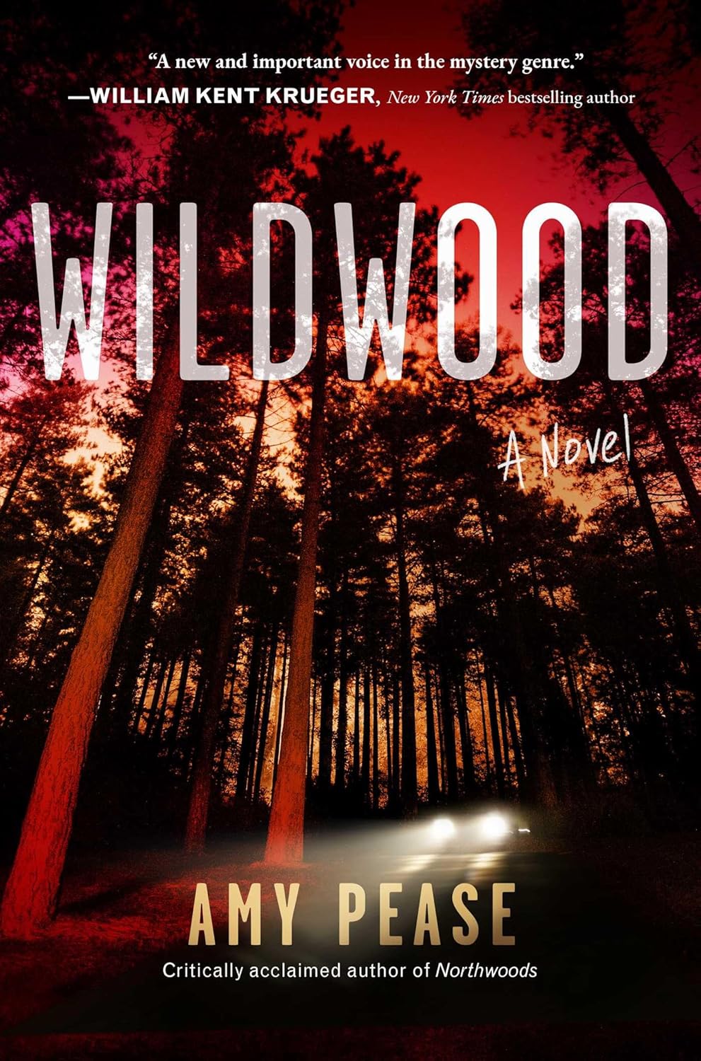 Wildwood: A Novel - Pre-Order