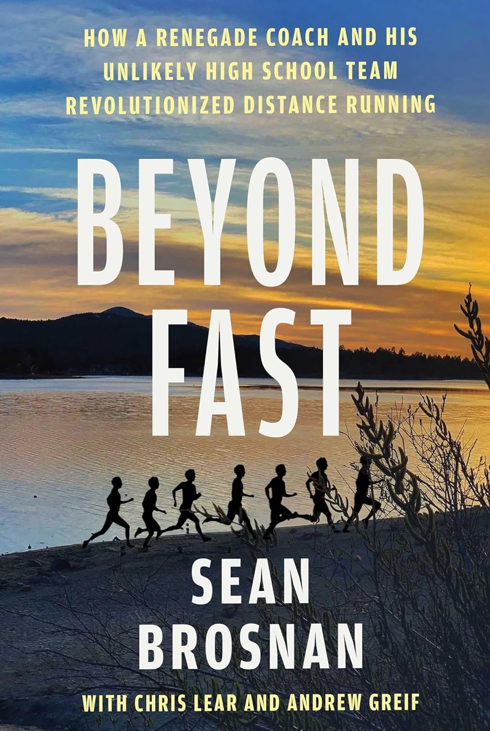 Book cover of 'Beyond Fast' with a silhouette of runners at sunset.